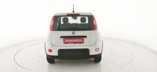 FIAT Panda usata 32