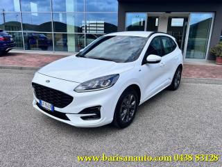 FORD Kuga 1.5 EcoBlue 120 CV aut. 2WD ST-Line