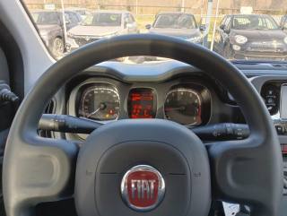 FIAT Panda usata, con Chiusura centralizzata
