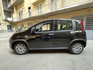 FIAT Panda usata, con Chiusura centralizzata