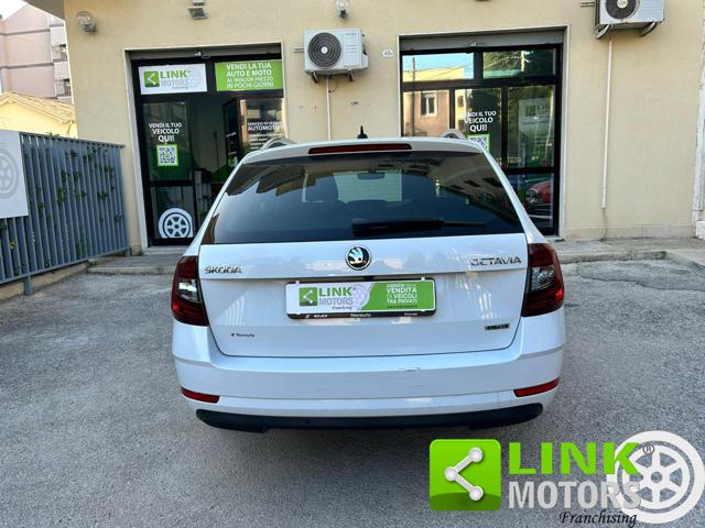 SKODA Octavia usata 8