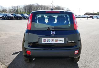 FIAT Panda usata, con Alzacristalli elettrici