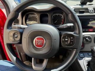 FIAT Panda usata, con Airbag testa