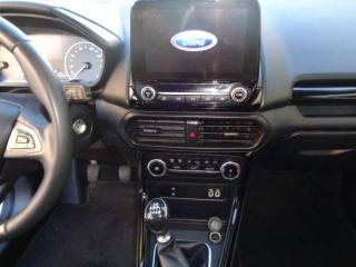 FORD EcoSport usata, con Fendinebbia