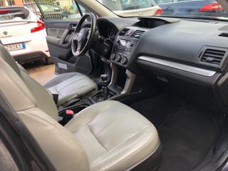 SUBARU Forester usata, con Fendinebbia