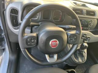 FIAT Panda usata 19