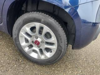 FIAT Panda usata, con ESP