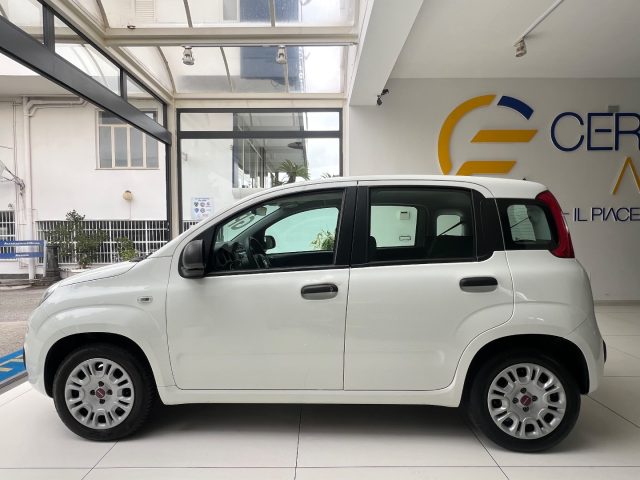FIAT Panda usata, con Airbag laterali