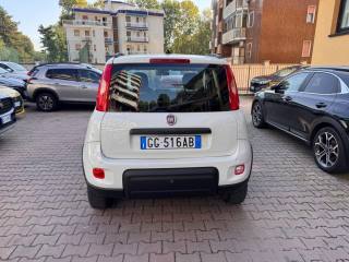 FIAT Panda usata, con Autoradio