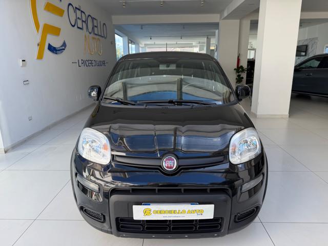 FIAT Panda usata, con Antifurto