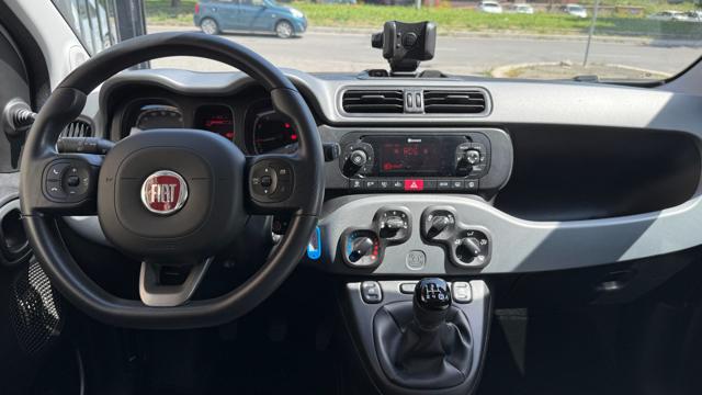 FIAT Panda usata 19