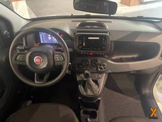 FIAT Panda usata 12
