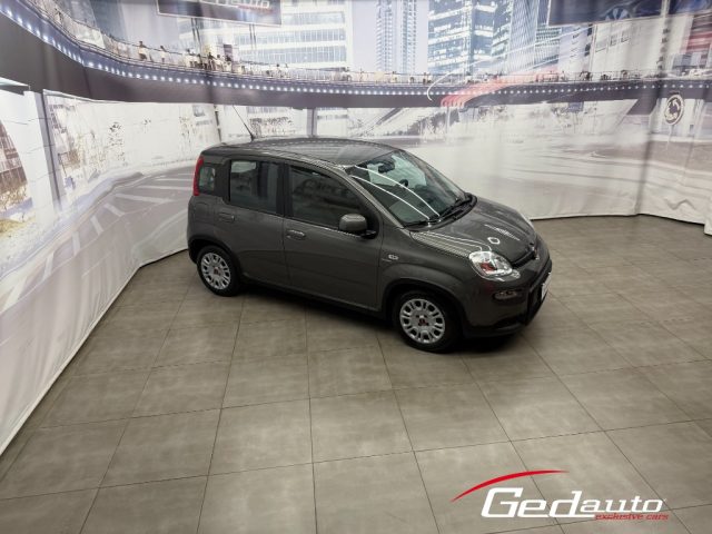 FIAT Panda usata, con Alzacristalli elettrici