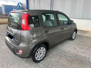 FIAT Panda usata, con Climatizzatore