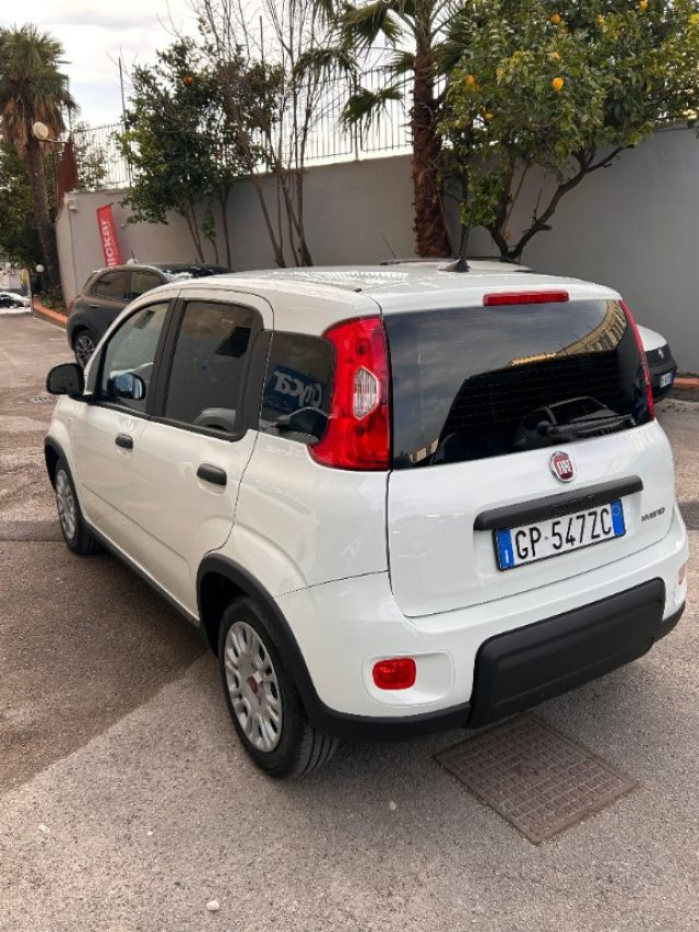 FIAT Panda usata, con Antifurto