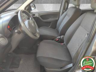 FIAT Panda usata 9