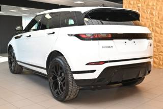 LAND ROVER Range Rover Evoque usata 77