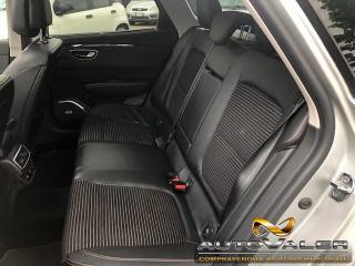 RENAULT Talisman usata, con Fendinebbia