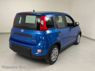 FIAT Panda usata, con Alzacristalli elettrici