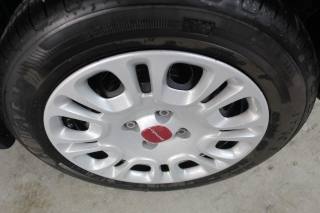 FIAT Panda usata, con Sensori di parcheggio posteriori