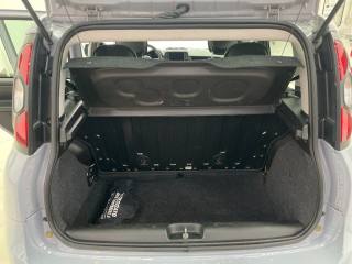 FIAT Panda Cross usata, con Cronologia tagliandi