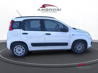 FIAT Panda usata 4