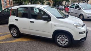 FIAT Panda usata, con Airbag Passeggero