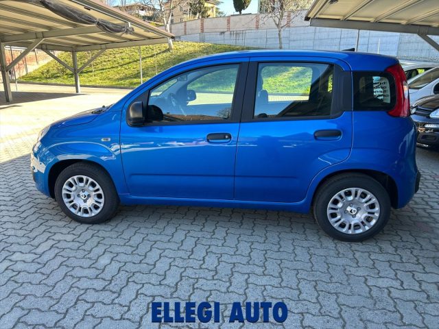 FIAT Panda usata, con Chiusura centralizzata