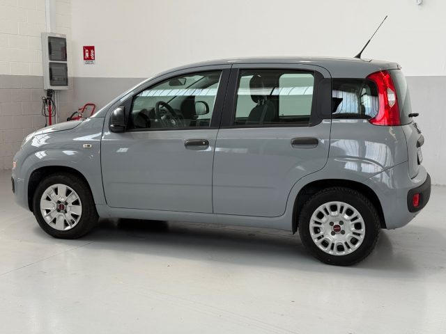 FIAT Panda usata, con ESP