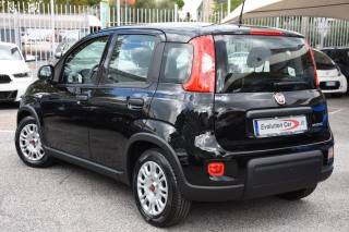 FIAT Panda usata, con Alzacristalli elettrici