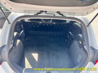 FORD Fiesta usata, con Boardcomputer