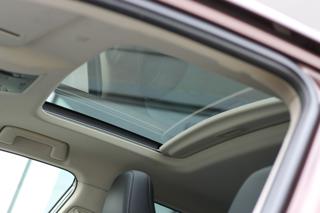 LEXUS NX 300h usata, con Cruise Control