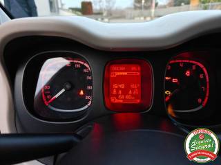FIAT Panda usata, con Servosterzo