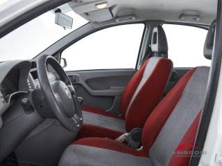 FIAT Panda usata 8