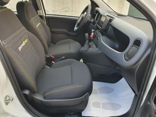 FIAT Panda usata, con Cruise Control