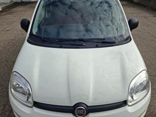 FIAT Panda usata 31