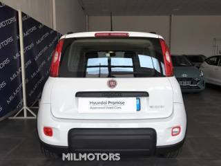 FIAT Panda usata, con Controllo trazione