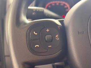 FIAT Panda usata, con Airbag testa