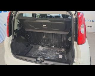 FIAT New Panda usata 13