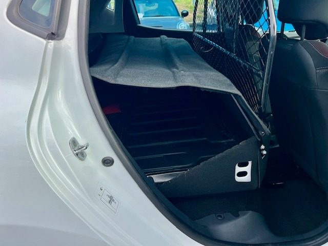 RENAULT Clio usata, con Cruise Control