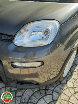 FIAT Panda usata, con Airbag Passeggero