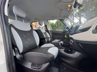 FIAT 500L usata, con Climatizzatore