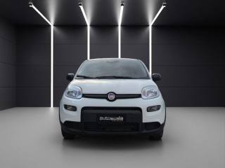 FIAT Panda usata, con Climatizzatore
