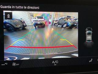 RENAULT Other usata, con Bracciolo