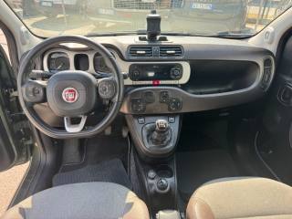 FIAT Panda Cross usata, con Cronologia tagliandi