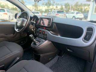 FIAT Panda Cross usata 23