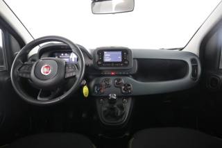 FIAT Panda usata 4