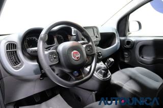 FIAT Panda usata, con Antifurto
