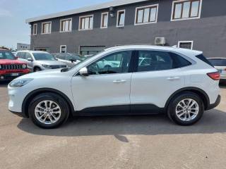 FORD Kuga 1.5 EcoBlue 120 CV aut. 2WD ST-Line