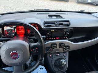 FIAT Panda usata 14